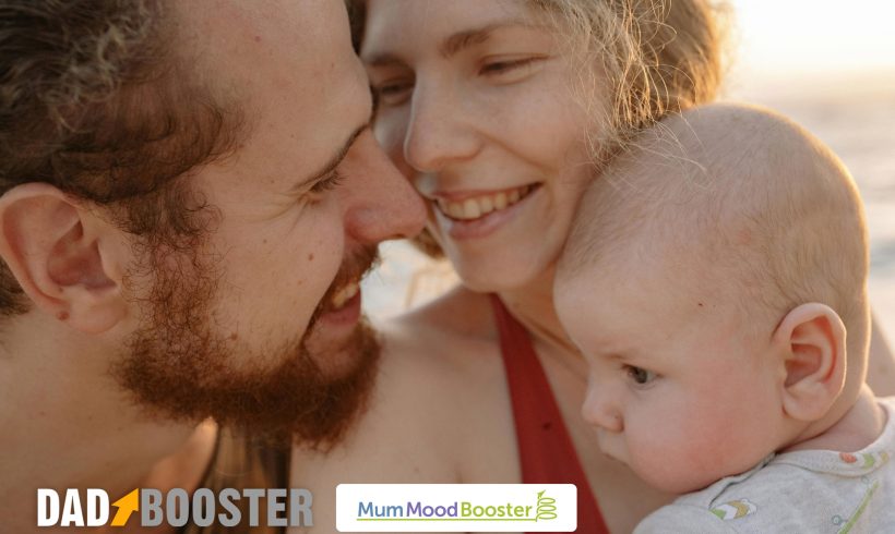 Perinatal Mental Health Support Funded Perinatal Mental Health Support Funded